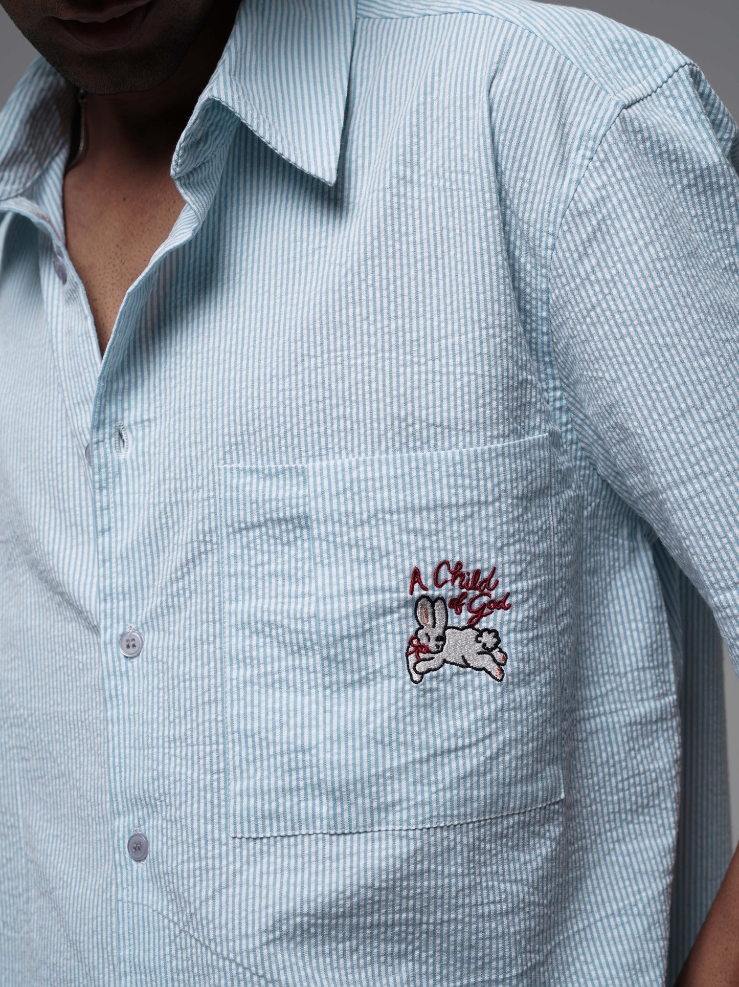 The Chosen One Crop Shirt